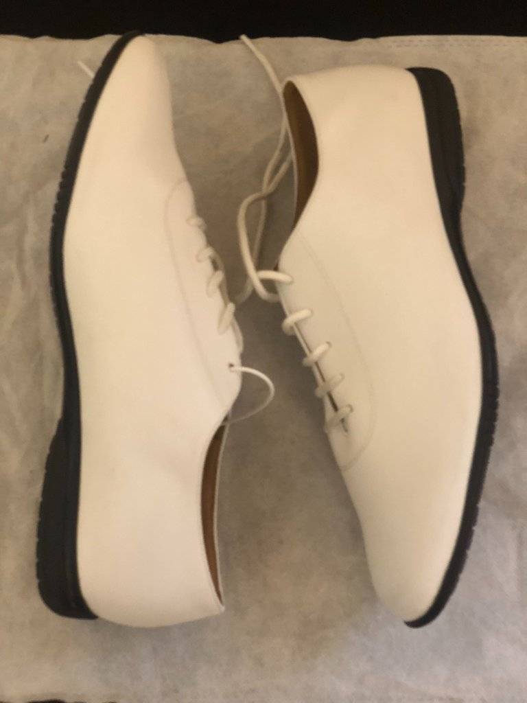 Danceandsway Mens White Dress Oxford Ballroom Dance Shoes Sz 11 Eu 43 — image 5 of 8